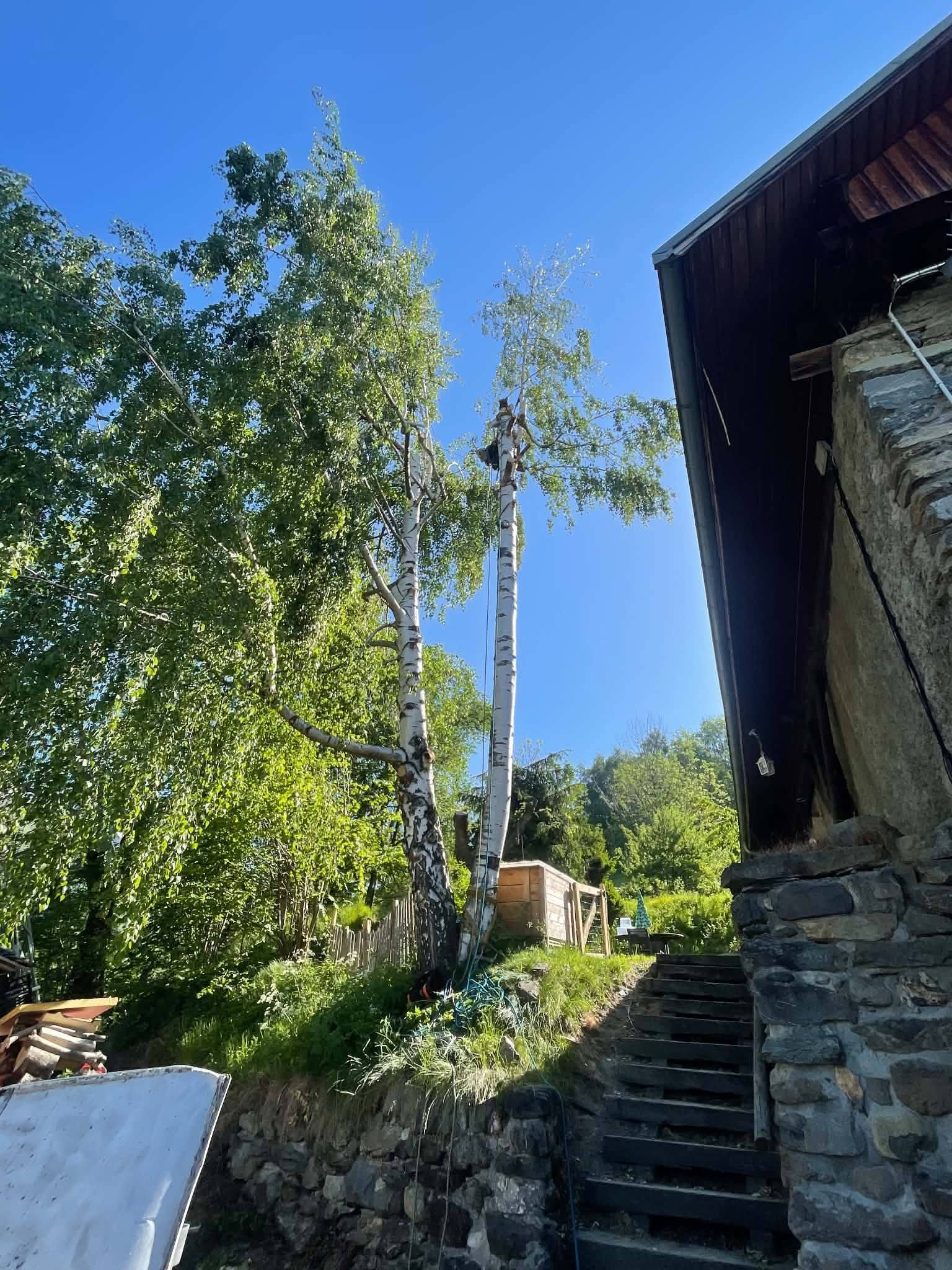 demontage arbre maurienne elagage