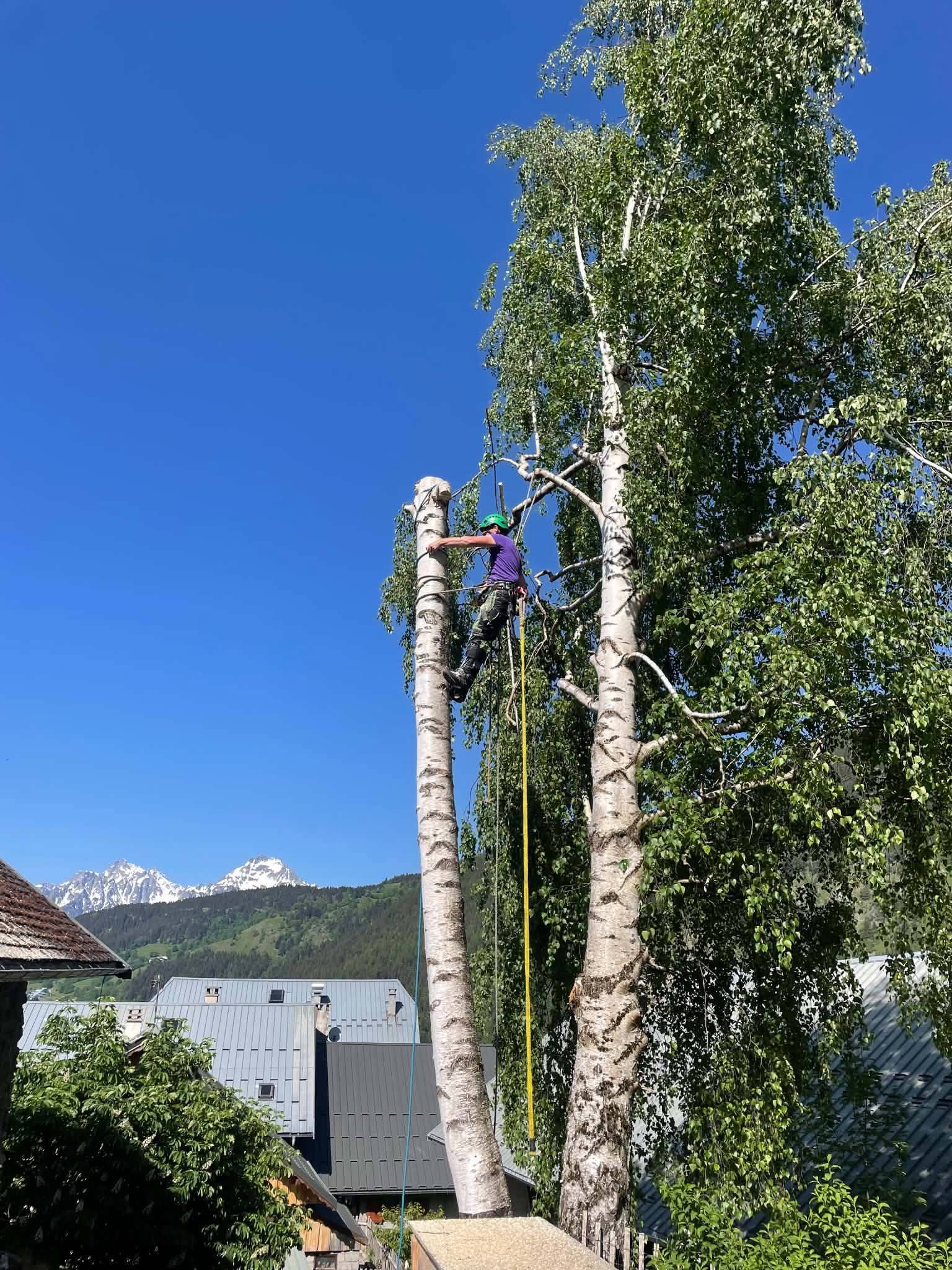 demontage arbre maurienne elagage