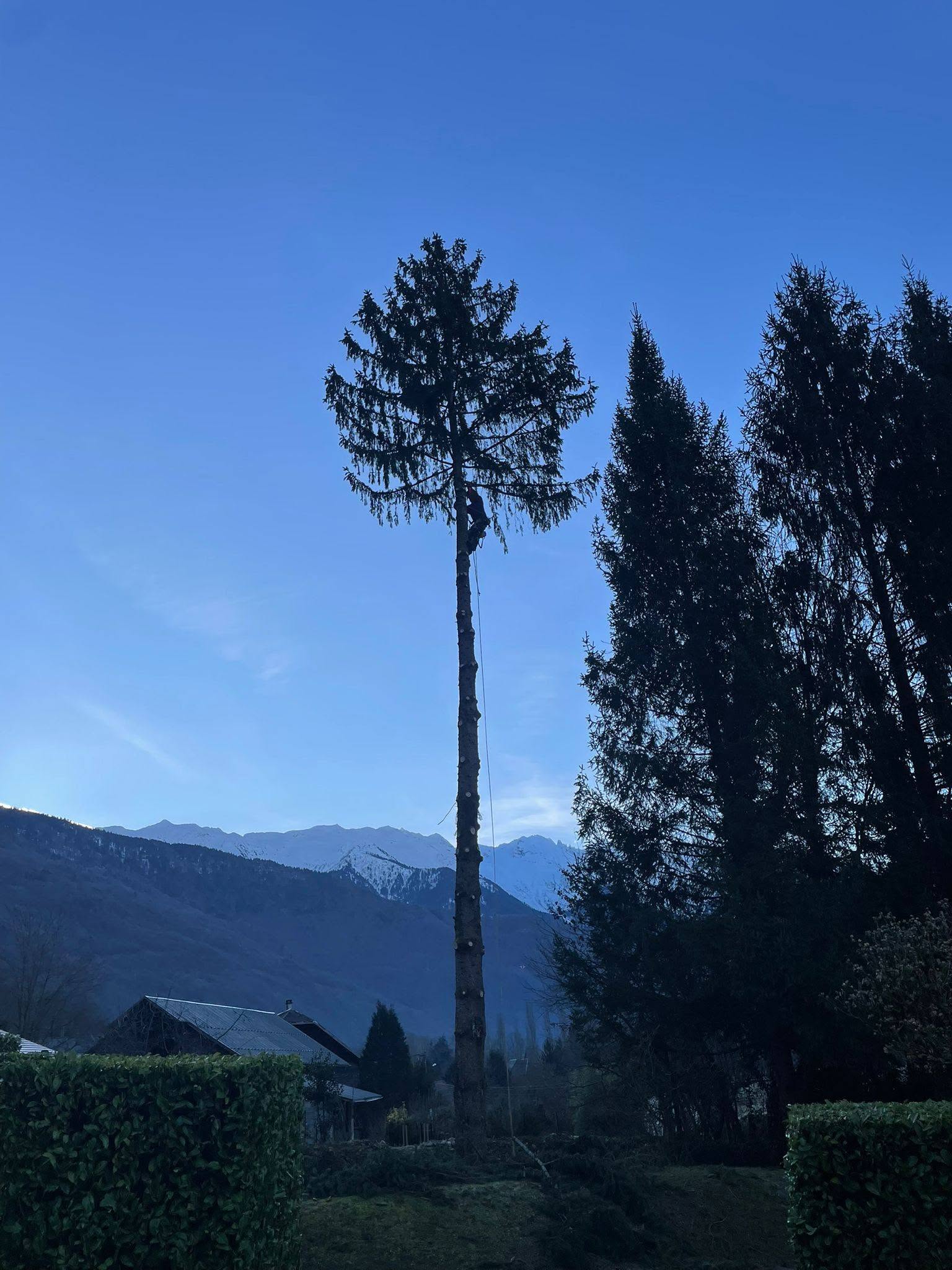 demontage arbre maurienne