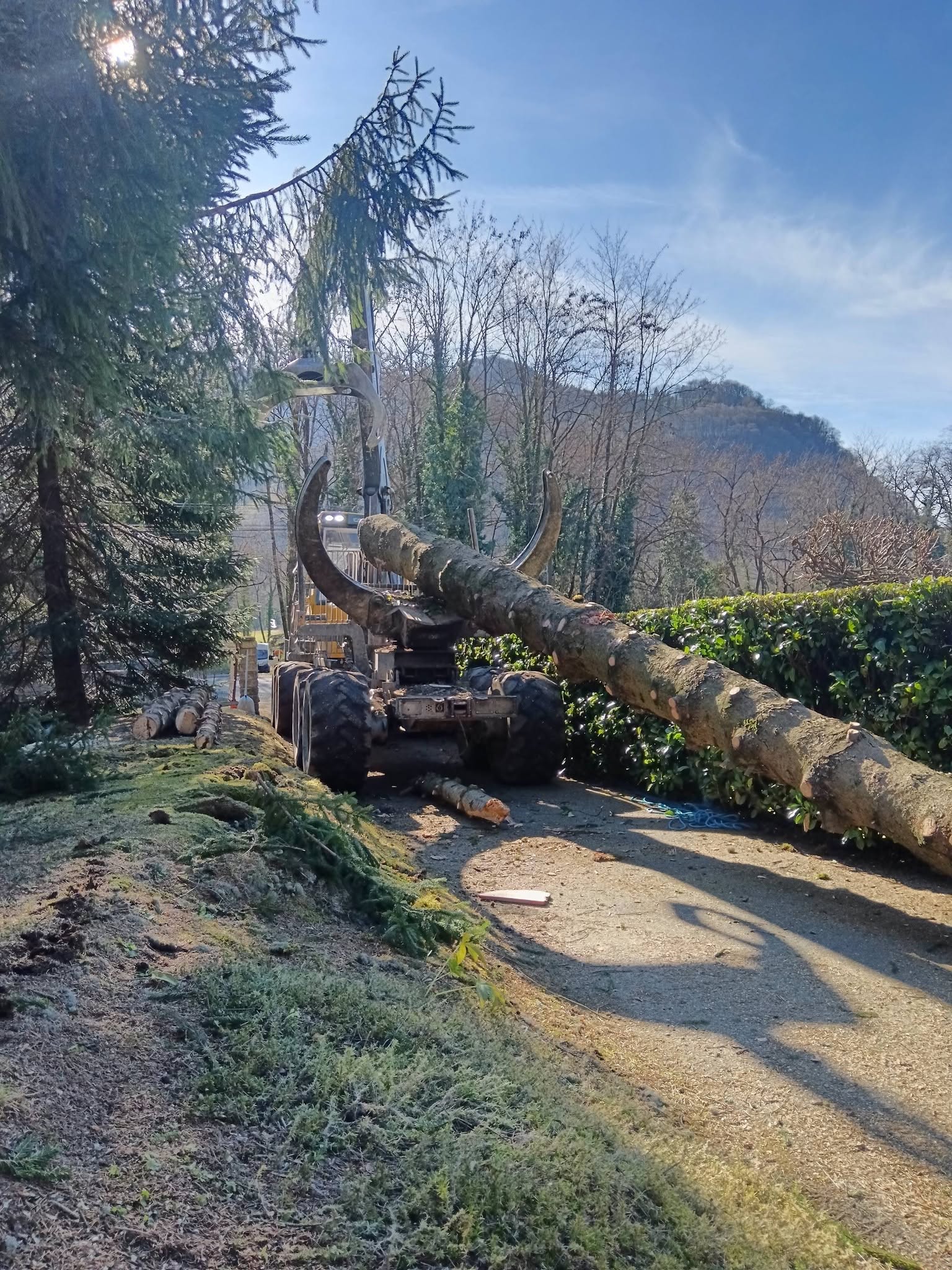 demontage arbre maurienne elagage