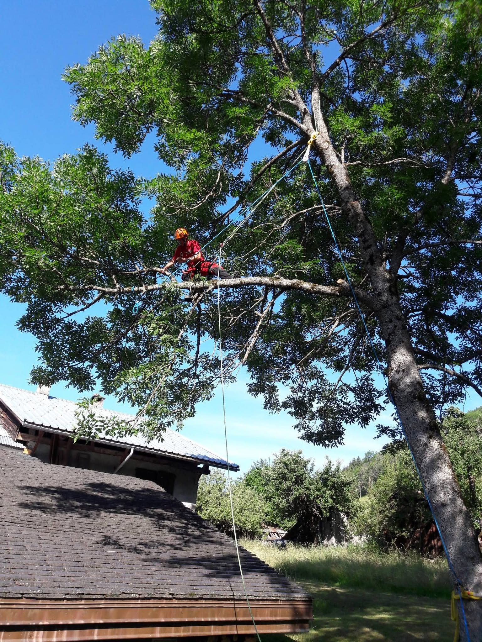 demontage arbre maurienne
