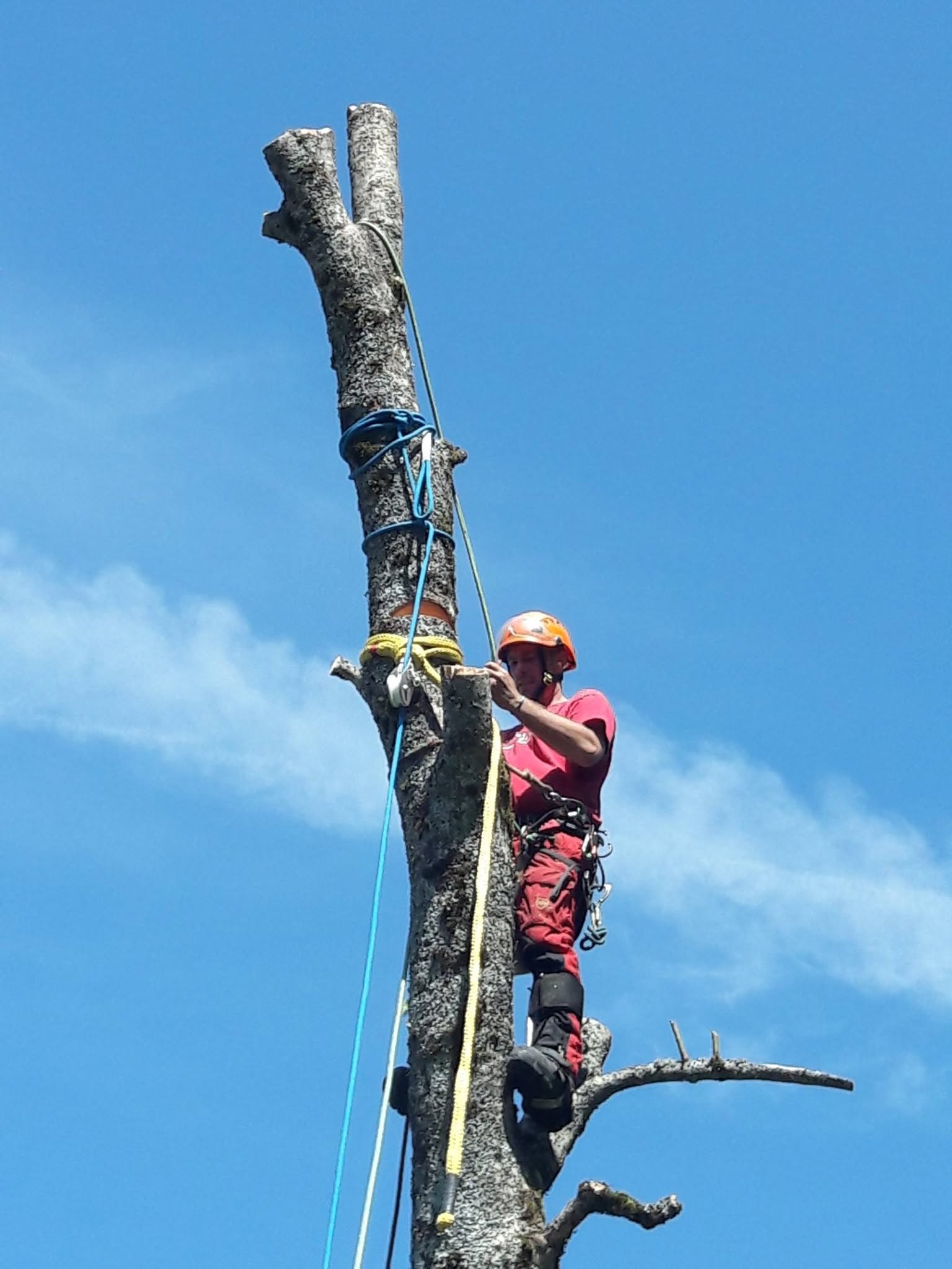 demontage arbre maurienne
