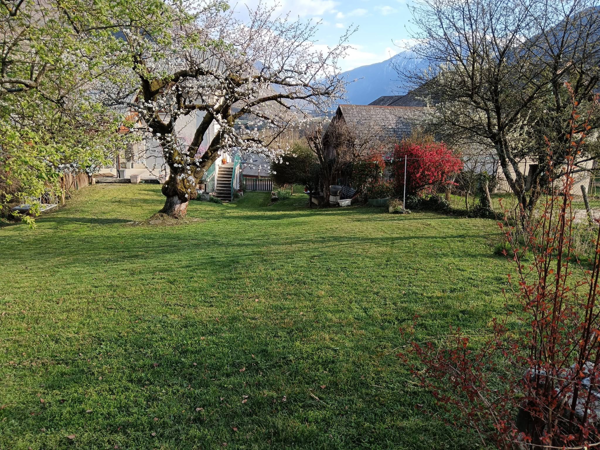 arbre maurienne taille elagage
