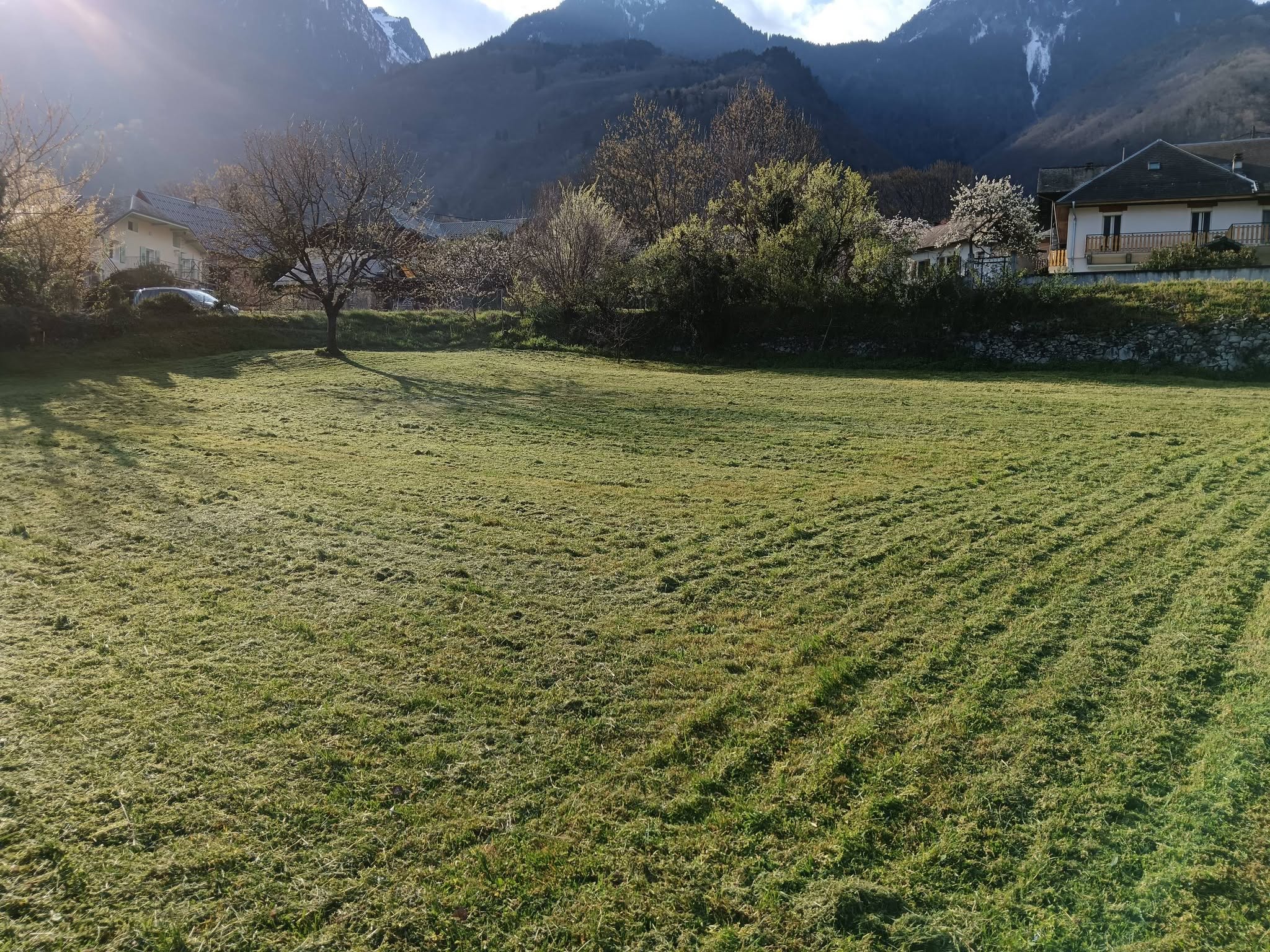 elagage maurienne taille